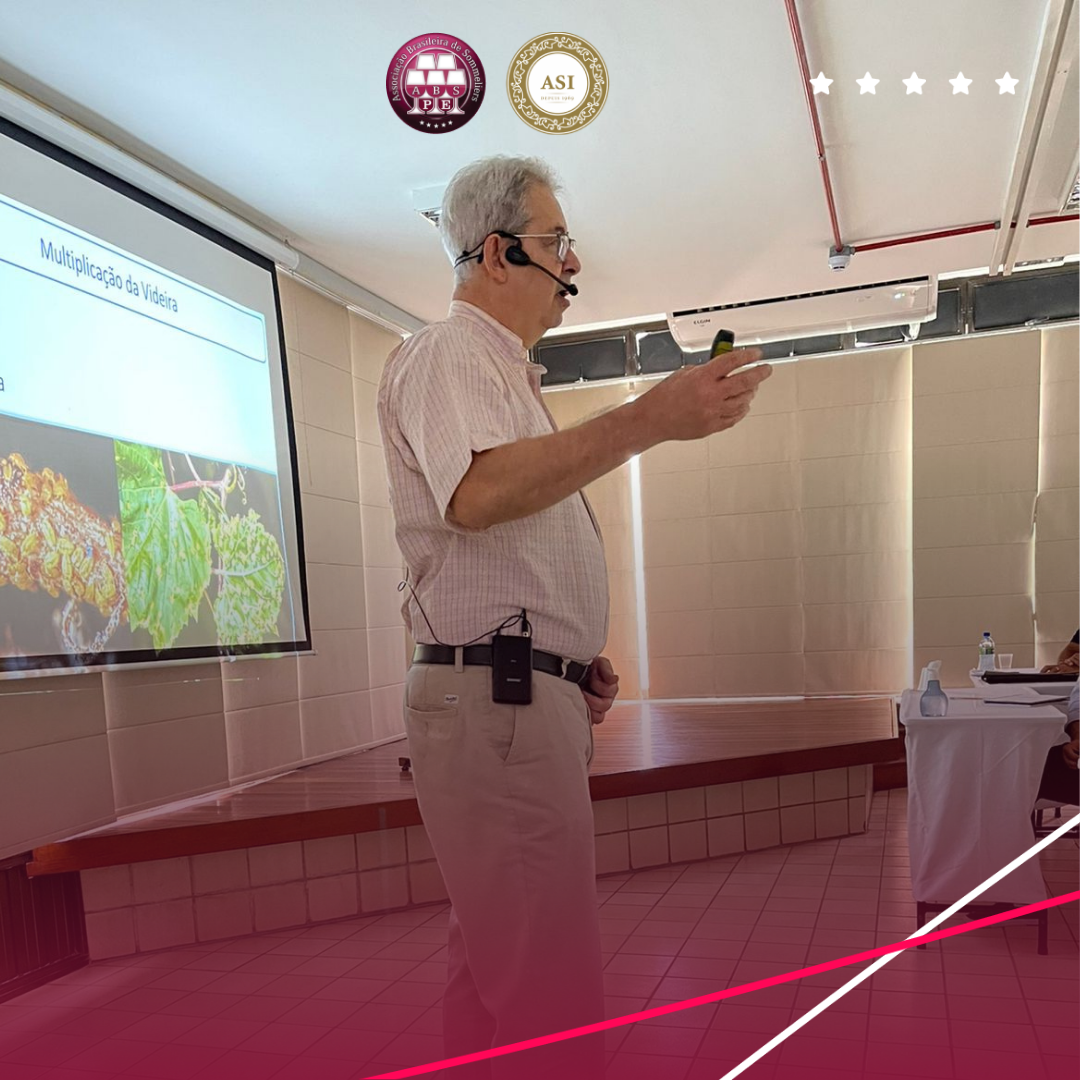 Confira como foi o Módulo II do Curso ABS-PE 2022
